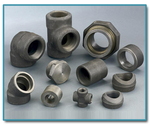 Carbon & Alloy Steel Forged fitting